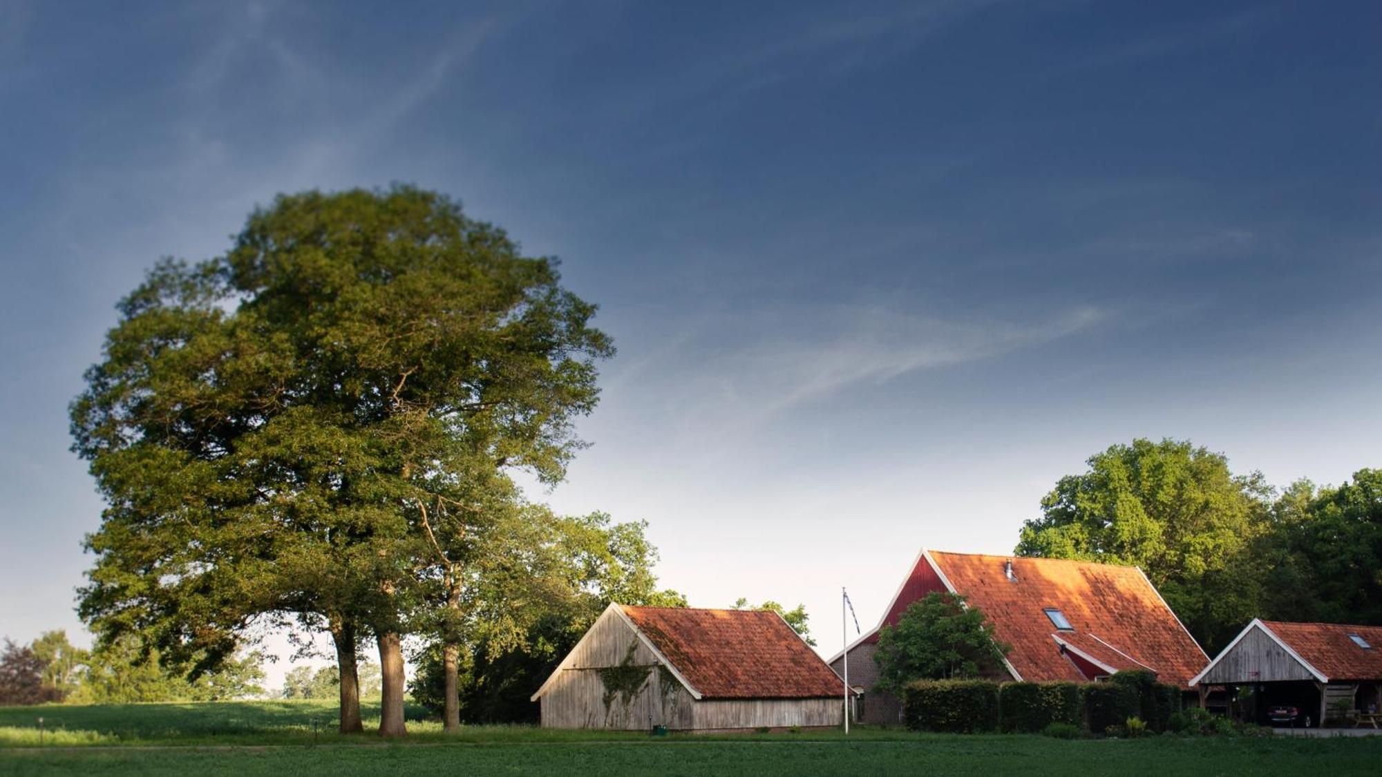 Buitenverblijf Het Grootenhuis Winterswijk Henxel Экстерьер фото